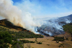 Waspada! Kemarau 2026 Datang Lebih Cepat dan Lebih Kering