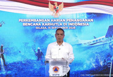 Stok Pangan Nasional Aman! 10 Komoditas Strategis Dipastikan Cukup Hingga Akhir 2026