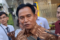 Yusril soal Kritik 'Jeruk Makan Jeruk' Kasus Febrie Adriansyah, KPK Bisa Ambil Alih Jika Ada Penyimpangan
