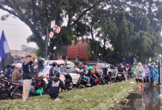 Pawai Persib Bandung Juara Super League Memakan Korban, 2 Warga Tewas dan Puluhan Taman Rusak