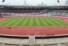 PSSI Bekerja Sama sengan PPK GBK Percepat Perbaikan Rumput Gelora Bung Karno Jelang Indonesia vs Australia