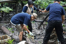 Kolaborasi Telkom dan AYS Indonesia Dorong Pemulihan Ekosistem Alam di Tarakan 