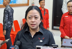 Puan: Jumlah Komisi di DPR Segera Diumumkan Sebelum Pengumuman Kabinet Prabowo