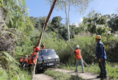 Menyala di Lembah Mandailing, Listrik 24 Jam PLN Buka Jalan Cita-Cita Anak Desa Patialo
