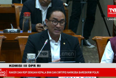 BNN Ungkap Lapas RI Overkapasitas Parah hingga 90 Persen, Mayoritas Kasus Narkotika