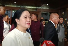 Puan Desak Sistem Keselamatan Pelayaran Diperbaiki Usai KMP Virgo Transport 8 Tenggelam