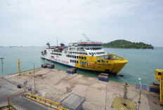 Rute dan Jadwal Keberangkatan Mudik Gratis Kapal Laut Nataru 2025, Cek Jangan sampai Ketinggalan!