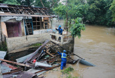 Terhenti 17 Tahun, Pramono Eksekusi Pembebasan Lahan Normalisasi Kali Ciliwung