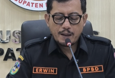 BPBD Pastikan Gempa Berkekuatan 6,2 Magnitudo di Pacitan Tidak Berpotensi Tsunami