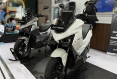 Beli MAKA Cavalry di JFK 2025 Dapat Cashback Rp 3 Juta