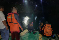 Minibus Tercebur di Danau Toba Tewaskan Satu Orang, Proses Evakuasi Berlangsung Dramatis