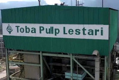 Daftar 28 Perusahaan Diduga Penyebab Banjir di Aceh hingga Sumatra Barat, Izin PT Toba Pulp Lestari Ikut Dicabut