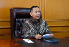 Penguatan Tata Kelola Kawasan Hutan dan Penegakan Hukum di Tingkat Tapak Jadi Prioritas