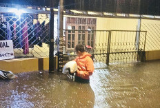 Mampang Prapatan Teredam Banjir 1,5 Meter, Total 39 RT di Jakarta Tergenang