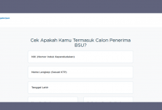 4 Link Resmi Cek Status Penerima BSU 2025 Tahap 3, Cukup Masukkan NIK KTP