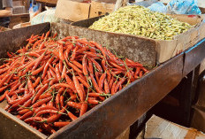 Cuaca Ekstrem Jadi Pemicu Kenaikan Harga Cabai di Jakarta, Dinas KPKP: Panen Menurun