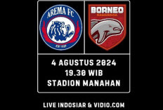 Link Live Streaming Borneo FC vs Arema FC Final Piala Presiden 2024: Selangkah Lagi Dapatkan Piala!