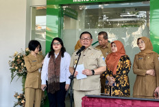 Update Hantavirus di Jakarta: Dinkes DKI Catat 3 Kasus Positif