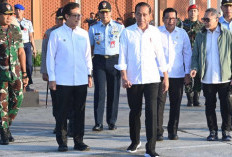 Jokowi Blusukan ke Kalteng Tinjau Sawah dan Pertanian Jelang 117 Hari Pemerintahannya Berakhir