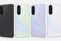 12 HP Terbaru 2026: Dari 1 Jutaan hingga Flagship, Ini Rekomendasi Terbaik!