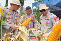 Perkuat Ketahanan Pangan Nasional, Kapolres Karawang Kawal Pertumbuhan Jagung Hibrida