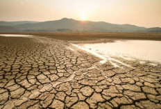El Nino Diprediksi Menguat hingga Awal 2027, BMKG Perluas Operasi Modifikasi Cuaca Cegah Karhutla