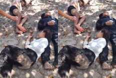 Nekat Selfie di Tebing Pantai Semeti, Seorang Wisatawan Tewas Terjatuh