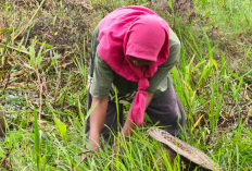 Berkat Sekolah Rakyat, Anak dan Keluarga Ini Tak Lagi Makan Nasi Berlauk Garam 