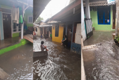 Simak 5 Cara Mencegah Banjir di Lingkungan Rumah, Waspada Musim Hujan Mulai Tiba!