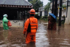 Hujan Lebat Guyur Jakarta, 6 RT dan 4 Ruas Jalan Terendam Banjir Hingga Hampir 1 Meter