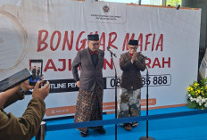 Bongkar Mafia Haji-Umrah, Kemenhaj Buka Hotline dan Verifikasi 3.000 Travel