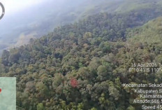 Basarnas Kerahkan Heli Super Puma Cari Korban Helikopter Jatuh di Sekadau Kalbar