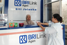 Intip Kisah Siti Julaeha: UMKM Naik Kelas Berkat Holding Ultra Mikro BRI