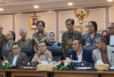 Ariel Noah, Piyu Padi hingga Maki Ungu Duduk Bareng DPR Bahas Royalti, Bakal Selesai dalam 2 Bulan