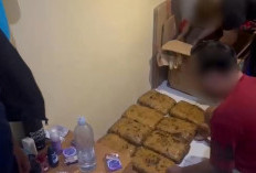 Peredaran 33,6 Kg Ganja di Bekasi-Bogor Diungkap, 2 Tersangka Dibekuk 
