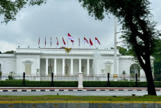 Istana Dukung Kebijakan Bahlil Larang Pengecer Jual Gas LPG 3 Kg