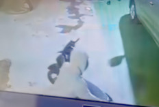 Viral Curanmor Beraksi di Markas PSHT Pamulang, Polisi Buru Pelaku!