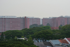 18 Hari Udara Singapura Tercemar Kabut Asap dengan Indikator PSI 230, Pemerintah RI Harus Lebih Serius