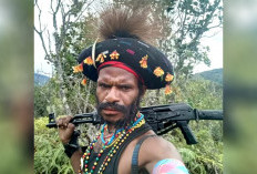Pimpinan OPM Tewas di Puncak Jaya, Bumi Walo Enumbi Bakar Sekolah dan Sebar Teror di Papua 