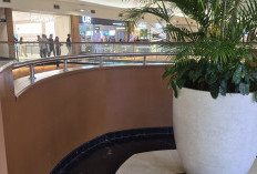 Detik-Detik Pegawai PIM 2 Syok Lihat Pria Diduga Lompat dari Lantai 3: Tiba-Tiba Orang Jatuh!