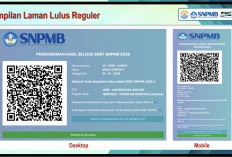Pengumuman SNBT 2026 Dirilis, Ini Link Resmi dan Cara Ceknya