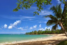 10 Wisata Pantai di Banten Cocok Buat Liburan Bersama Keluarga, Tiket Murah dan Terjangkau