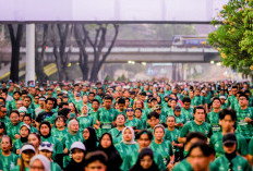 25 Ribu Pelari Serbu GBK, Ada yang Datang dari Kenya di MILO ACTIV Indonesia Race 2026