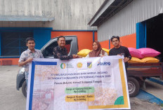 BULOG Salurkan Tambahan 150 Ribu Ton Jagung SPHP Tahap II, Peternak Mikro Jadi Prioritas Utama
