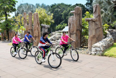 Ancol Gratiskan Tiket Masuk Selama 3 Hari untuk Warga DKI, Kado HUT ke-499 Kota Jakarta