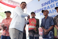 BULOG Perluas Distribusi Pangan KDKMP, 1.985 Koperasi Terlayani untuk Akses Beras SPHP
