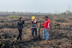 Kebakaran Lahan di Bengkalis Berujung Pidana, Pemilik Lahan Jadi Tersangka