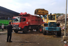 Penanganan Sampah di Pasar Induk Kramat Jati Dikebut, Perumda Pasar Jaya Sewa 20 Truk Tronton Kapasitas 20 Ton