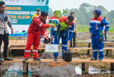 Pertama di Indonesia, Pemprov Sumsel dan Kilang Pertamina Plaju Sinergi Bangun Taman Rawa di Kawasan Jakabaring, Tanam 55 Spesies Pohon Langka 