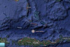 Apa Itu Flores Back Arc Thrust? Penyebab Gempa Dahsyat M7,7 di NTT